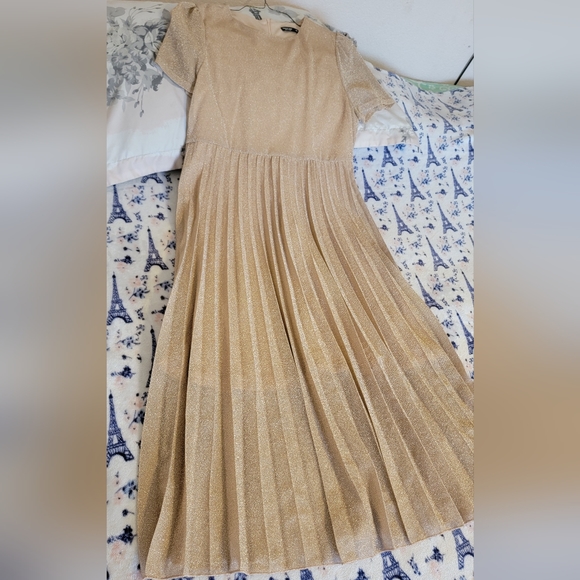 Plus size Glitter Pleated Dress Long 3XL - Picture 10 of 12